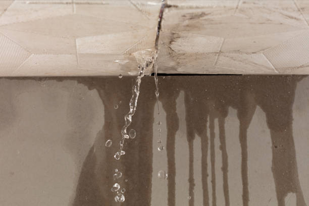 Professional Sewage Cleanup technician working in Tellico Plains, TN